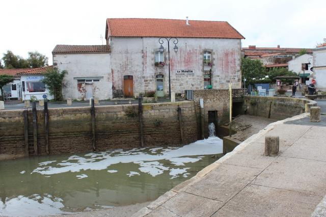 12. Mornac sur Seudre (13)