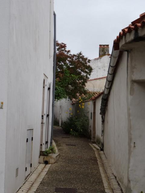 12. Mornac sur Seudre (35)