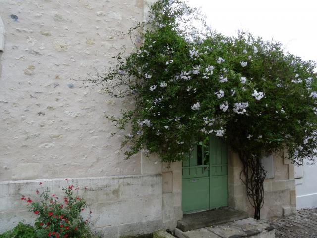 12. Mornac sur Seudre (37)