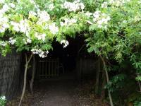 14 06 2015 Roseraie de Vendée (149)