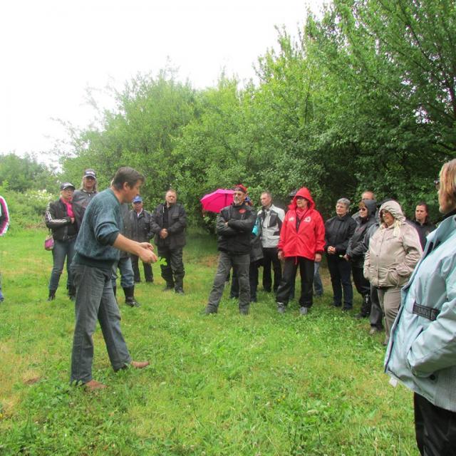 14 06 2015 Roseraie de Vendée (32)