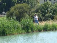 2014 07 14 SORTIE M.C.R. JONZAC (54)