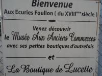 2016 02 Doué-la-Fontaine (8)
