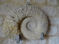 3.visite des Grottes de Matata (51)