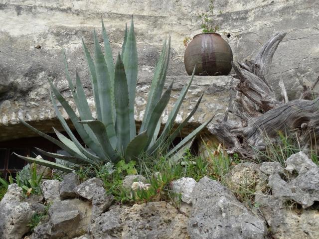 3.visite des Grottes de Matata (77)