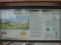 Auvergne (21)