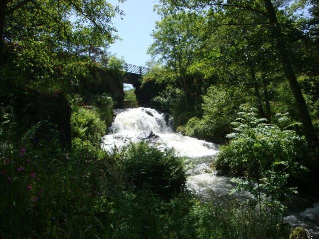 Auvergne (29)