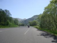 Auvergne (65)
