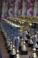 Coupes CDM17 2013 (3)