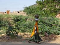 Domie Eric Inde 2015 (15)