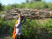 Domie Eric Inde 2015 (19)