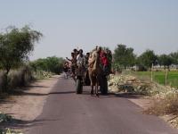 Domie Eric Inde 2015 (34)