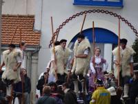Fête du Mimosa 2016 (19)