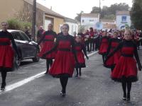 Fête du Mimosa 2016 (38)