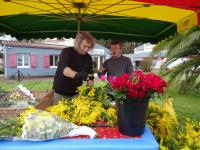 Fête du Mimosa 2016 (9)