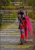 Inde et Nous 2017 (1)