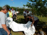 Journée Barbecue 2016 (7)