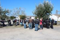 Noirmoutier 09 2015 (3)