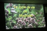 Noirmoutier 09 2015 (6)