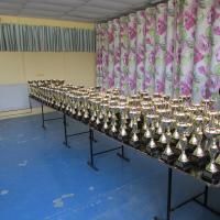 remise des prix CDM17 2015 (0)