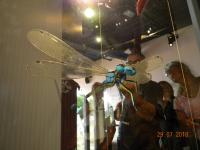 sortie Libellules 07 2018 (29)