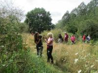 sortie Libellules 07 2018 (32)