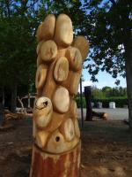 Sortie Moules 8 2016 (12)